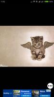 Cute Cats Wallpapers Free HD ภาพหน้าจอ 2