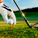 Golf Sport Wallpapers Free HD APK