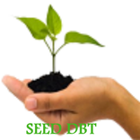 SEED DBT