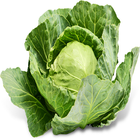 Cabbage-IFC icône
