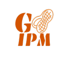 Groundnut-IPM