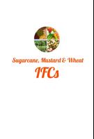 Sugarcane,Mustard & Wheat-IFCs Affiche