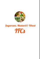 Sugarcane,Mustard & Wheat-IFCs Plakat