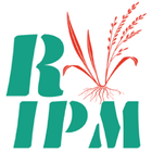 Rice-IPM icône