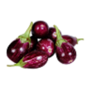 PMIS - Brinjal aplikacja
