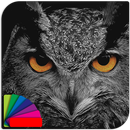 Theme - Night Owl APK