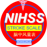 NIHSS(中文版脑中风量表)