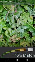 Poison Oak Identifier โปสเตอร์