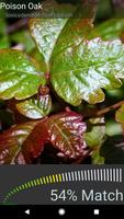 Poison Oak Identifier 截图 1