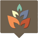 Aura Zooper APK