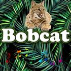 The best Bobcat Sounds Zeichen