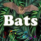 Best Bats sounds icon