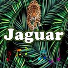 Best Jaguar  Sounds আইকন