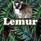 Best Lemur Sounds icône