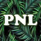 Paroles de chanson PNL icône