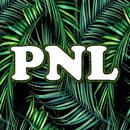 Paroles de chanson PNL APK