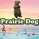 Best Prairie Dog Sounds APK