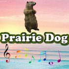 Best Prairie Dog Sounds icône