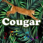 Best Cougar Sounds Zeichen