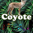 Best Coyote Sounds Zeichen