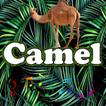 ”Best Camel Sounds