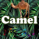 Best Camel Sounds icône