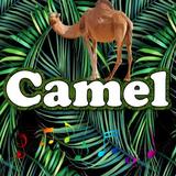 آیکون‌ Best Camel Sounds