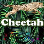 The best Cheetah Sounds ไอคอน