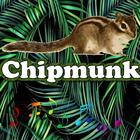 Best Chipmunk Sounds icône