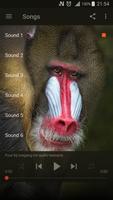 Best Baboon sounds poster