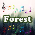 Best Forest Sounds icon