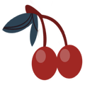 CherryChapter.nl
