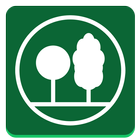 Ebben TreeEbb иконка