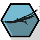 Condormedia Dakar APK