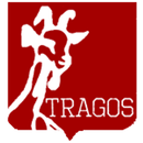 MSV Tragos App aplikacja