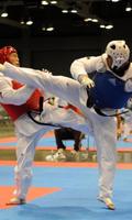 Taekwondo 截图 1