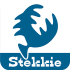 Stekkie Magazine Zeichen