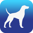 Pet Travel icon