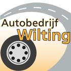 Autobedrijf Wilting 图标