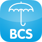 BCS icon