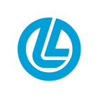 DLL Taxatie ikona