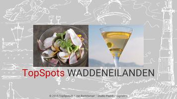 Waddeneilanden poster