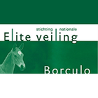 Nationale Eliteveiling Borculo 图标