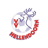 VV Hellendoorn icône