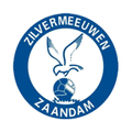 Zilvermeeuwen