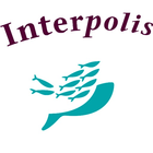 VerzuimInZicht Interpolis icône