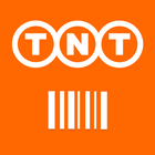 TNT Innight أيقونة