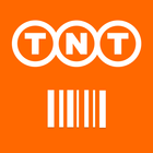 TNT Innight ikona