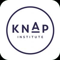 KNAP Institute Amsterdam screenshot 1