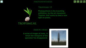 Photosynthesis Art Catalogue Affiche
